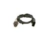 Oxygen Sensor -
