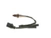 Oxygen Sensor -