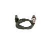 Oxygen Sensor -