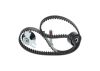 Timing Belt Kit -