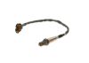 Oxygen Sensor -