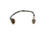 Oxygen Sensor -