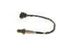 Oxygen Sensor -