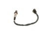 Oxygen Sensor -