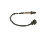 Oxygen Sensor -
