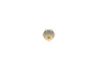 Oil Pressure Switch -
