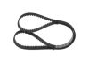 Timing Belt -