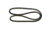 V-Belt 13X1250