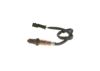 Oxygen Sensor -