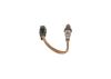 Oxygen Sensor -