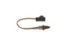 Oxygen Sensor -