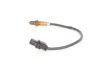 Oxygen Sensor -