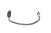 Oxygen Sensor -