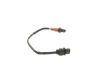 Oxygen Sensor -