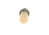 Fuel Filter Diesel Spare Parts (convention