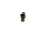 Injector 24406653 OPEL