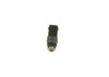 Injector 24406653 OPEL
