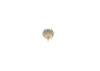 Oil Pressure Switch -