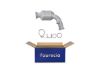 Catalytic Converter -
