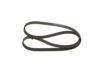V-Ribbed Belt VAG - 03L 903 137J - 6PK1264