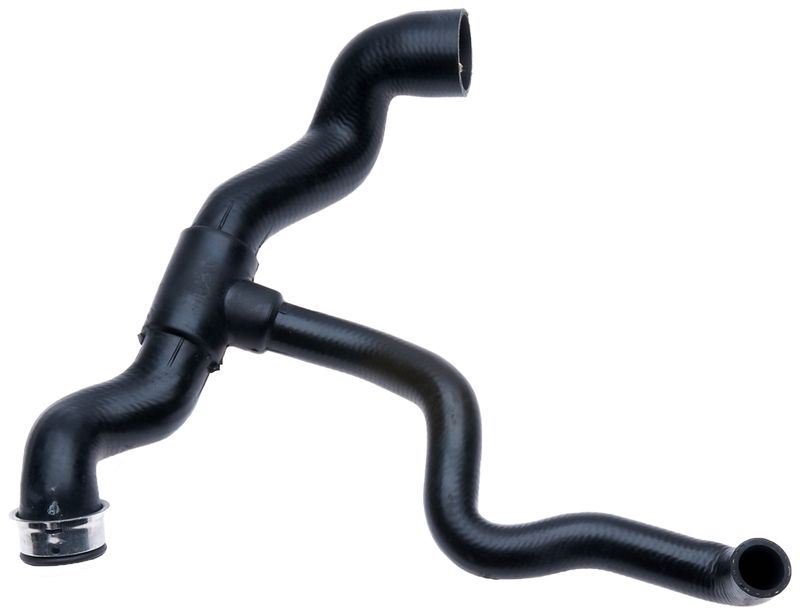 Radiator Hose -
