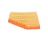 Air Filter BMW - 13 71 8 605 164