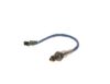 Oxygen Sensor -