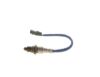 Oxygen Sensor -