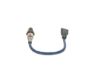 Oxygen Sensor -
