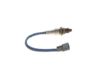 Oxygen Sensor -