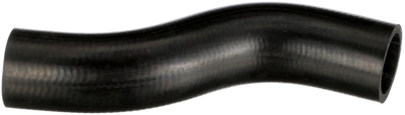 Radiator Hose -