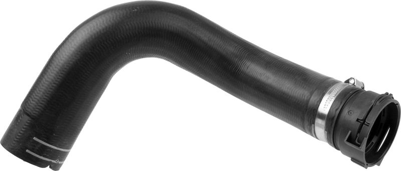Radiator Hose -