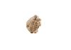 Fuel Pump -