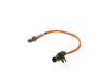Oxygen Sensor -
