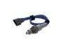 Oxygen Sensor -