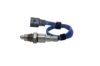 Oxygen Sensor -