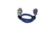Oxygen Sensor -