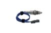 Oxygen Sensor -