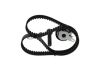 Timing Belt Kit -