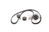 Water Pump & Timing Belt Kit -