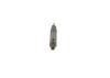 Nozzle and Holder Assembly -