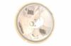 Insert, spotlight Lum./Rallye Compact 37,5