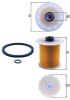 Fuel Filter SOLENZA, KANGOO (KC0/1_)