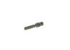 Injector 13 53 1 266 436 BMW