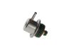 Fuel Pressure Regulator -