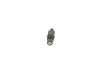 Nozzle and Holder Assembly -