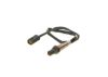 Oxygen Sensor -