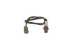 Oxygen Sensor -