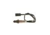 Oxygen Sensor -