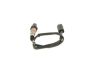 Oxygen Sensor -